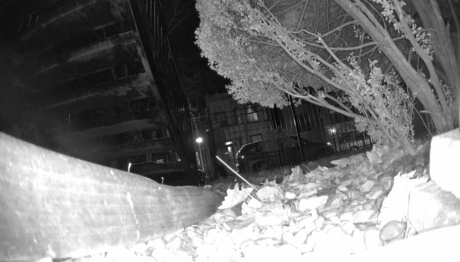 Reolink Camera Two_01_Reolink Home Hub One_20250118175516.jpg